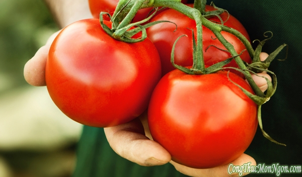 7 lưu ý cần nhớ khi ăn cà chua