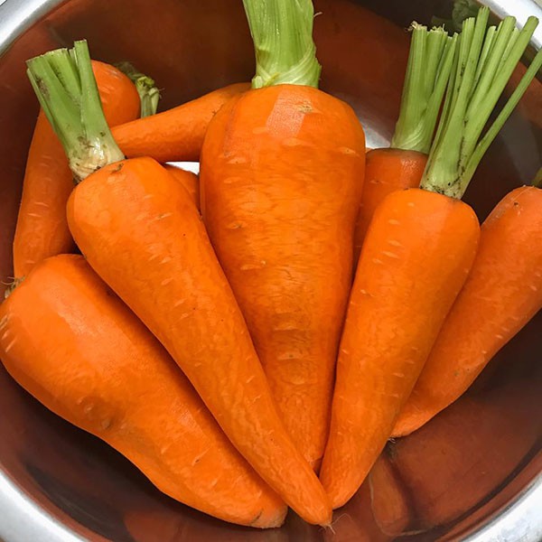 Bí quyết làm mứt cà rốt có tỷ lệ thành công cao