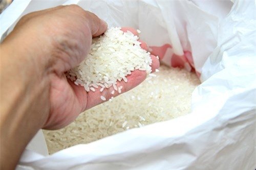 Cách nhận biết gạo tẩm hương liệu và hóa chất chống mọt