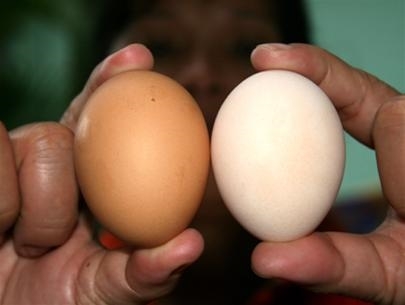Cách nhận biết trứng gà Trung Quốc, trứng tẩy trắng