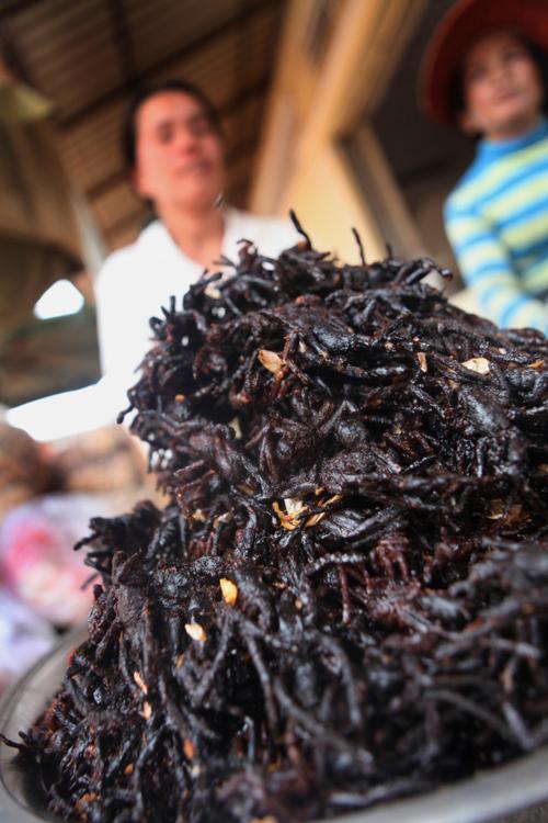 Đặc sản nhện đen đáng sợ của Campuchia