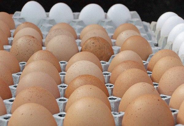 Mua trứng, thấy 4 dấu hiệu này nên tránh xa, vừa hại sức khỏe lại tốn tiền