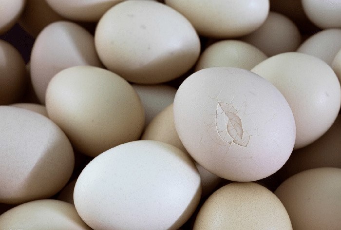 Mua trứng, thấy 4 dấu hiệu này nên tránh xa, vừa hại sức khỏe lại tốn tiền