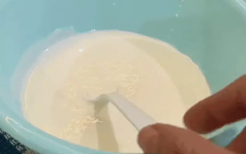 Nấm sữa Kefir: Tác dụng bất ngờ cho sức khỏe và cách nuôi nấm sữa đơn giản tại nhà