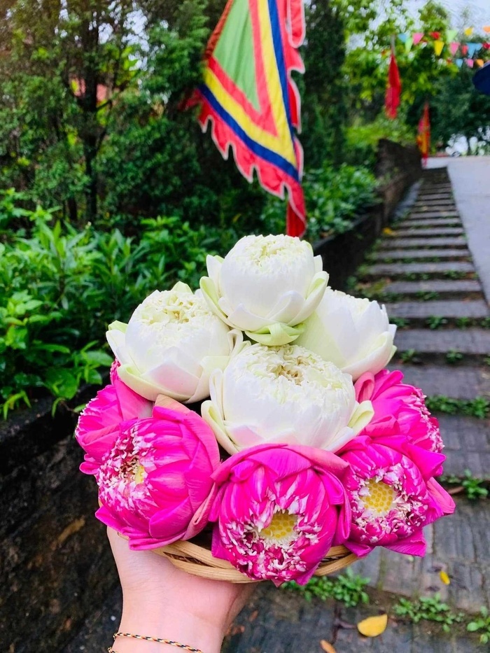 Mãn nhãn với mâm hoa, quả lễ 'mùa nào thức ấy' dâng chùa của cô giảng viên ngành Y