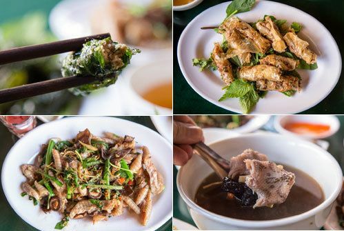 Du khách Mỹ 'choáng váng' khi ăn thịt rắn Việt Nam