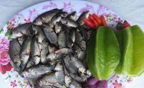 Thầy giáo ở Hà Tĩnh chia sẻ về món cá rô kho ngày mưa bão và công thức cá rô đồng kho khế