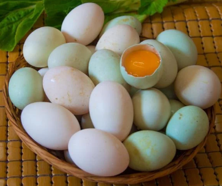 Mua trứng vịt nên chọn quả vỏ trắng hay vỏ xanh?