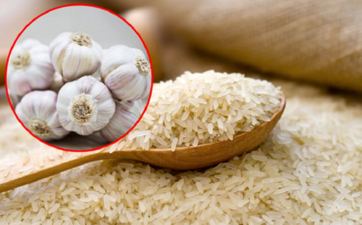 Vùi tỏi vào thùng gạo có lợi ích gì?
